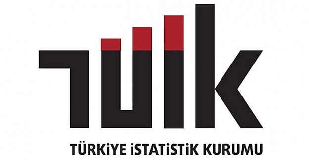 10 Sözleşmeli Personel Alınacak (Türkiye İstatistik Kurumu Başkanlığı)